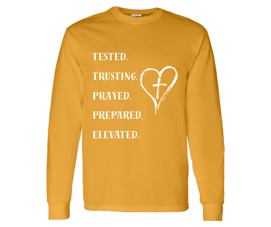 YMBIB Premium Logo Tee - Anointed Series - Tested